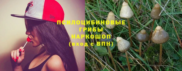 прущая мука Белокуриха