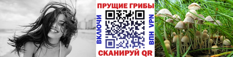 Галлюциногенные грибы ЛСД  наркошоп  Болохово 